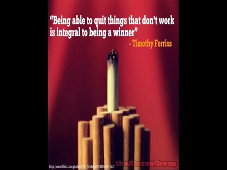 cost of traffic geyser  traffic geyser 20 review free video ebook