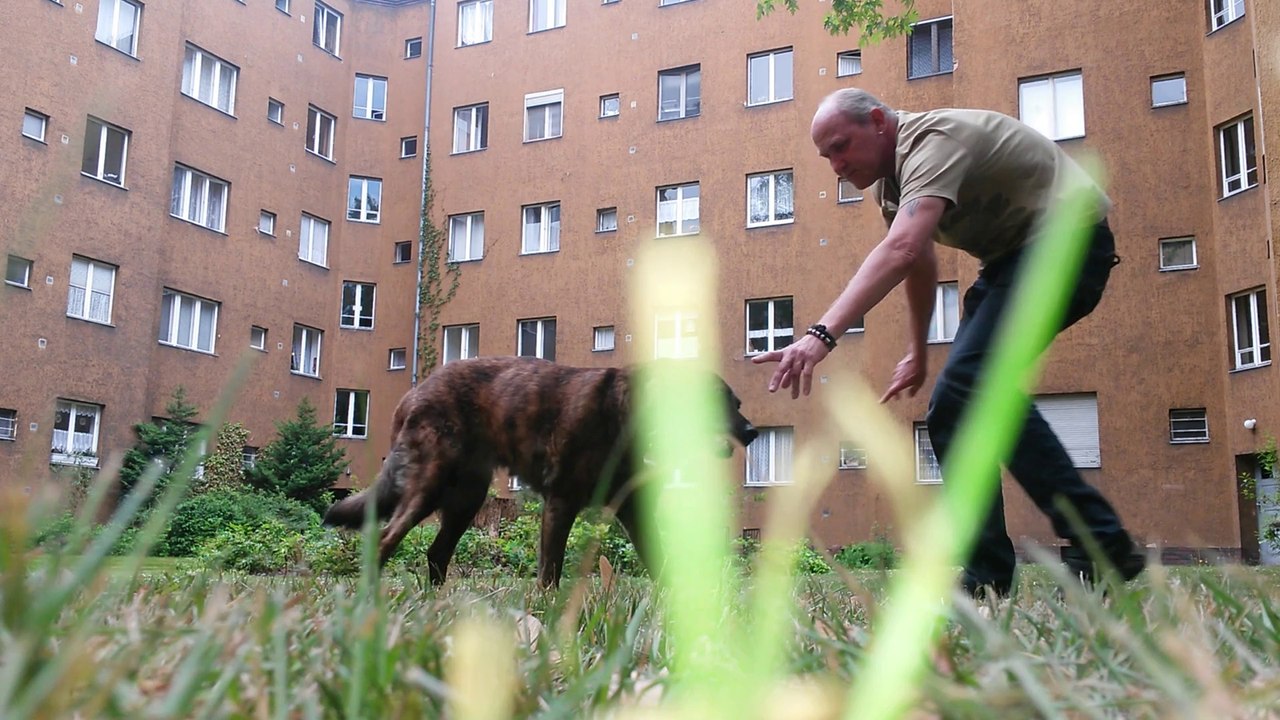 003 dritter Tag mit Vestibular ---- 01-05-2014 --- 12 - 49 Uhr