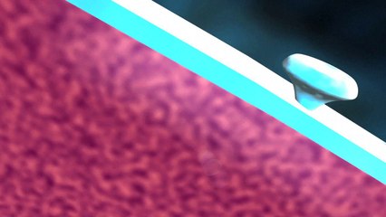 La resistencia a los antibióticos