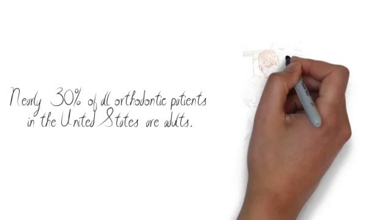 All about your Teeth