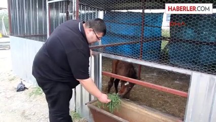 Osmaniye'nin Toprakkale İlçesi'nde Çöpte Bulunan ve İlk Tedavisi Osmaniye Belediyesi Hayvan...