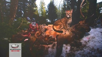 Fotografia e giornalismo, a Trastevere la mostra con le immagini premiate nel World Press Photo 2014