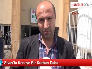 Kene Sivas'ta Can Aldı