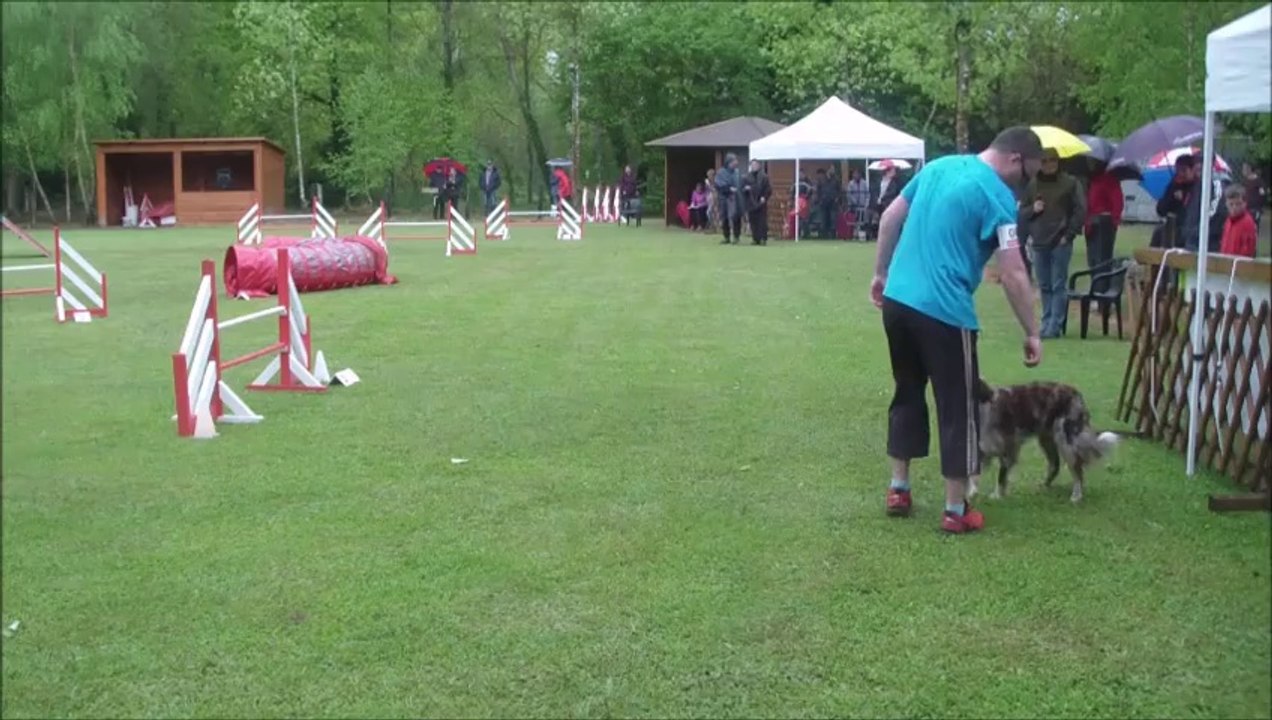 Fever Agility du Championnat régional 2014