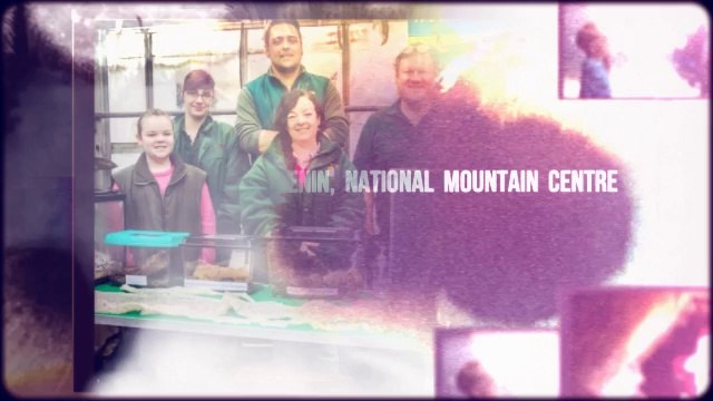 5 of the Top Attractions in North Wales