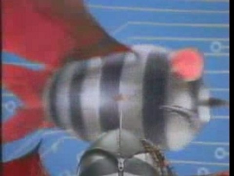 Pub Findus - croustibat