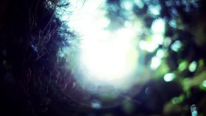 Killah Priest - New Reality - [Official Music Video]