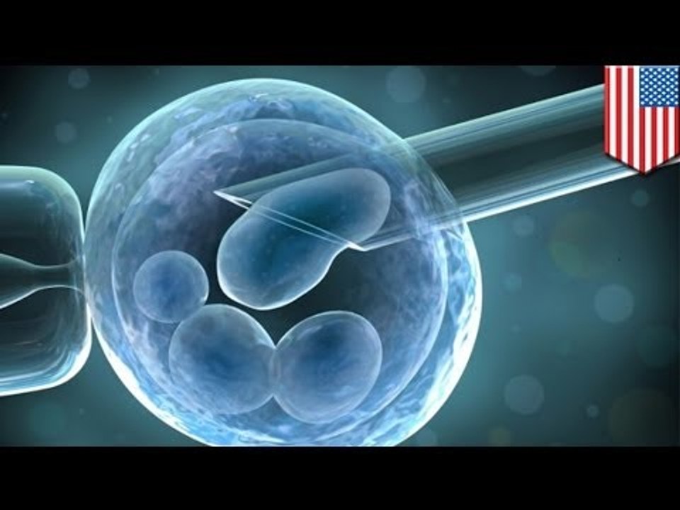 Diabetes cure? Cloned human stem cells could provide the answer