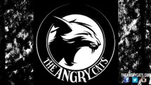 The Angry Cats - Fan The Flames Of Discontent