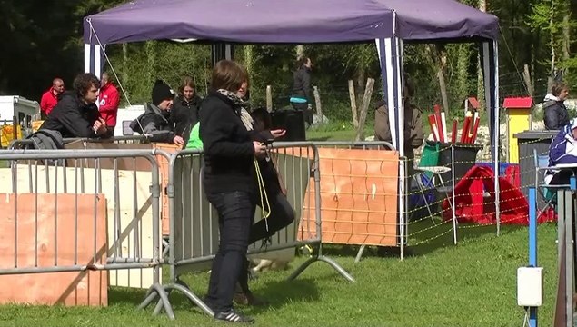 Agility - Concours à Supt - Forêt De La Joux - 27 Avril 2014