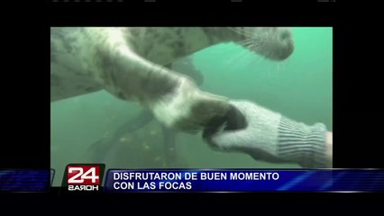 Inglaterra: Buzo realiza "selfie" con focas bebé bajo el agua