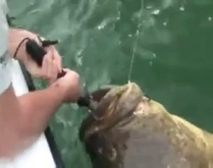 Büyük Balıkla Daha Büyük Bir Balık Yakalamak