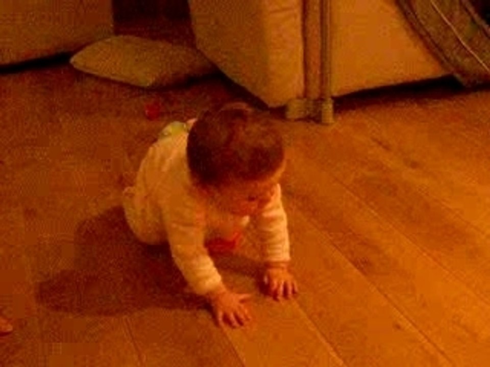 Du vrai quatre pattes