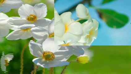 Sensibile...(Antonio Trigo)