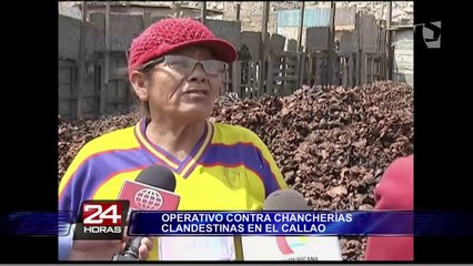 Autoridades clausuraron chancherías clandestinas en el Callao
