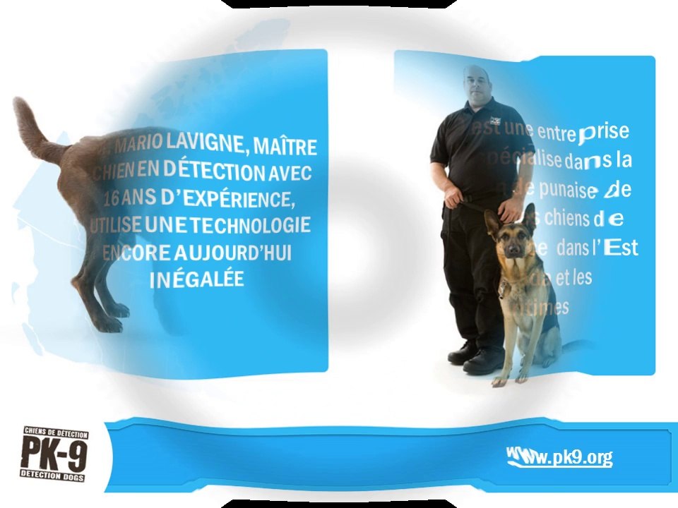 Détection de punaises de lit à Montréal - Pk-9