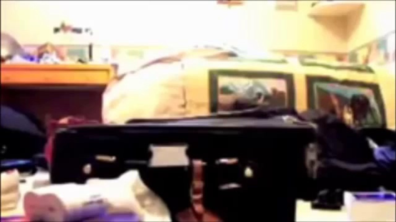 リビングクリエイトおススメ！超笑える世界の厳選おもしろ猫　ハプニング集