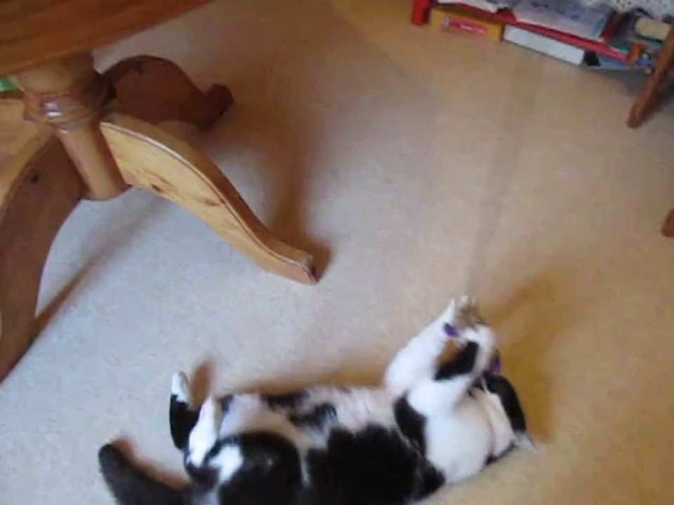 partie de jeu salsa