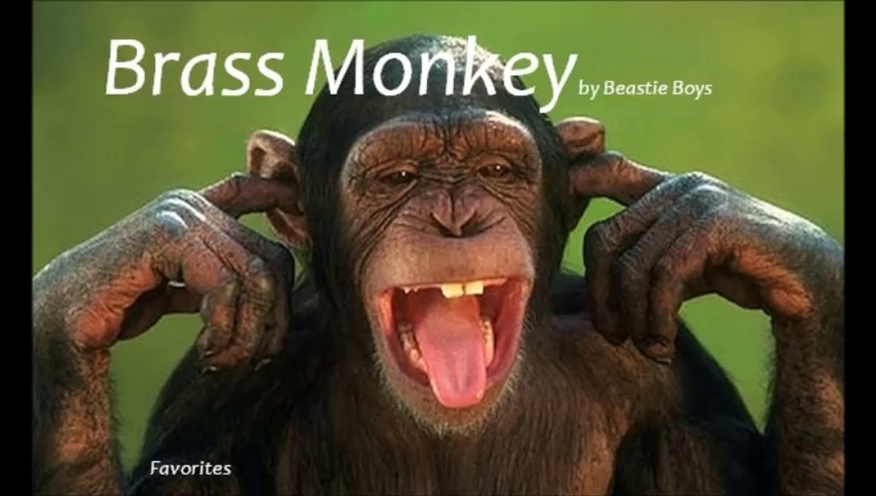 Brass Monkey by Beastie Boys (Favorites) video Dailymotion