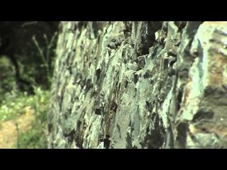 Intervista a Cristina Finamore - il mio progetto