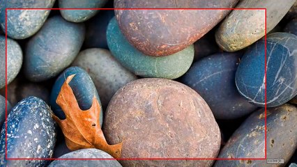 How to Download Best Screen Recorder for Windows 8.1