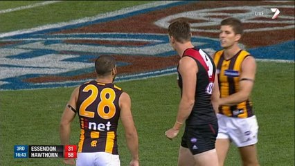 AFL 2014 Round 2 - Essendon v Hawthorn x264 (3rd Quarter)