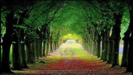 GEYLANİ KARAASLAN - AŞKIN İLE AŞIKLAR