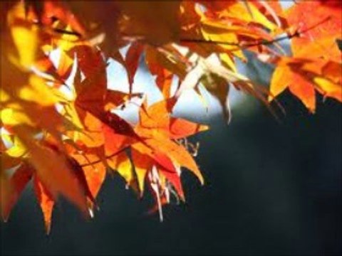 君を迎えに Je reviens te chercher (ジルベール･ベコー Gilbert Becaud) シャンソン / 訳詞初稿 Sima