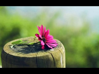 Ebu Zerka. Güzel  Kuran Okuyuşu