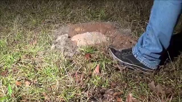 Karıca Yuvası Muhhteşem Sİstemi- karınca yuvasına sıvı aliminyum dökülürse ...