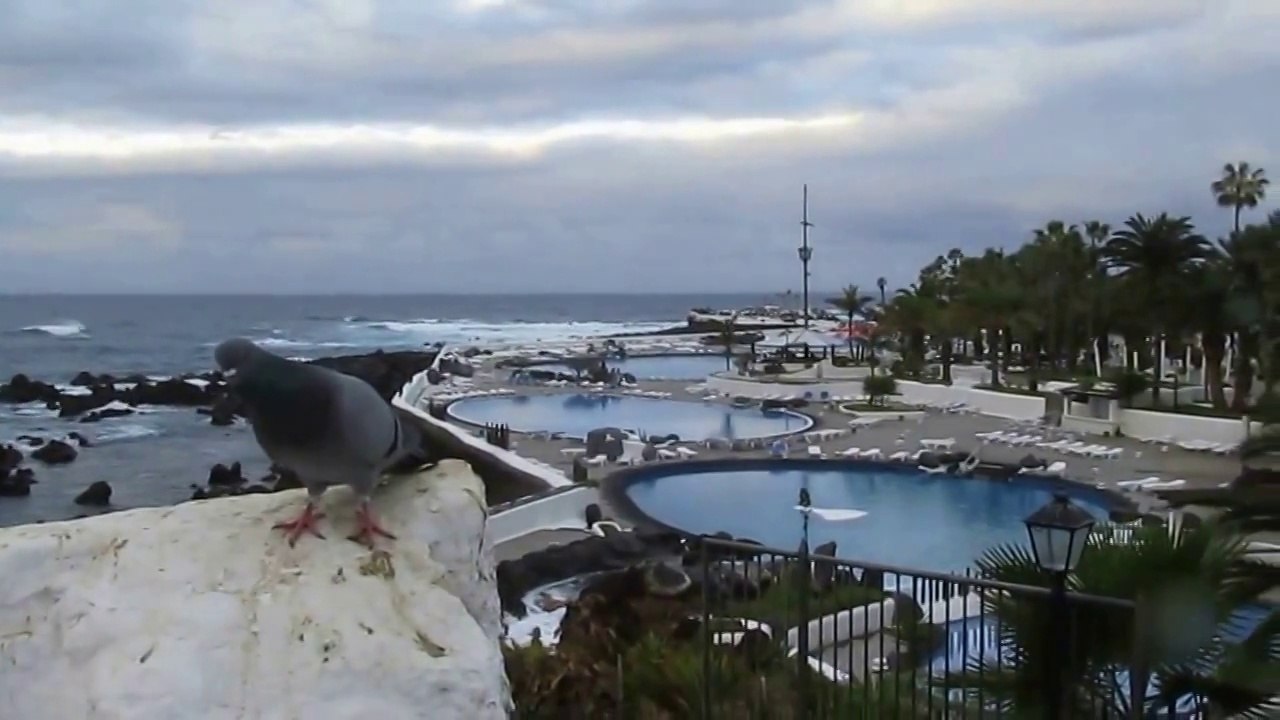 Wakacje na wyspach Szczęśliwych - Jean Francois Maurice - Monaco