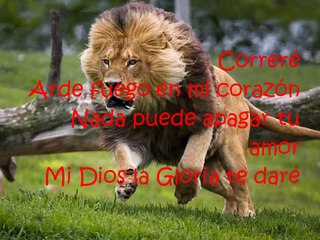 Correré  Hillsong (español y letra)