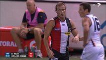 AFL 2014 - Round 4 - St Kilda v Adelaide (2nd quarter)