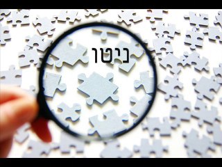 ניהול מוניטין ברשת