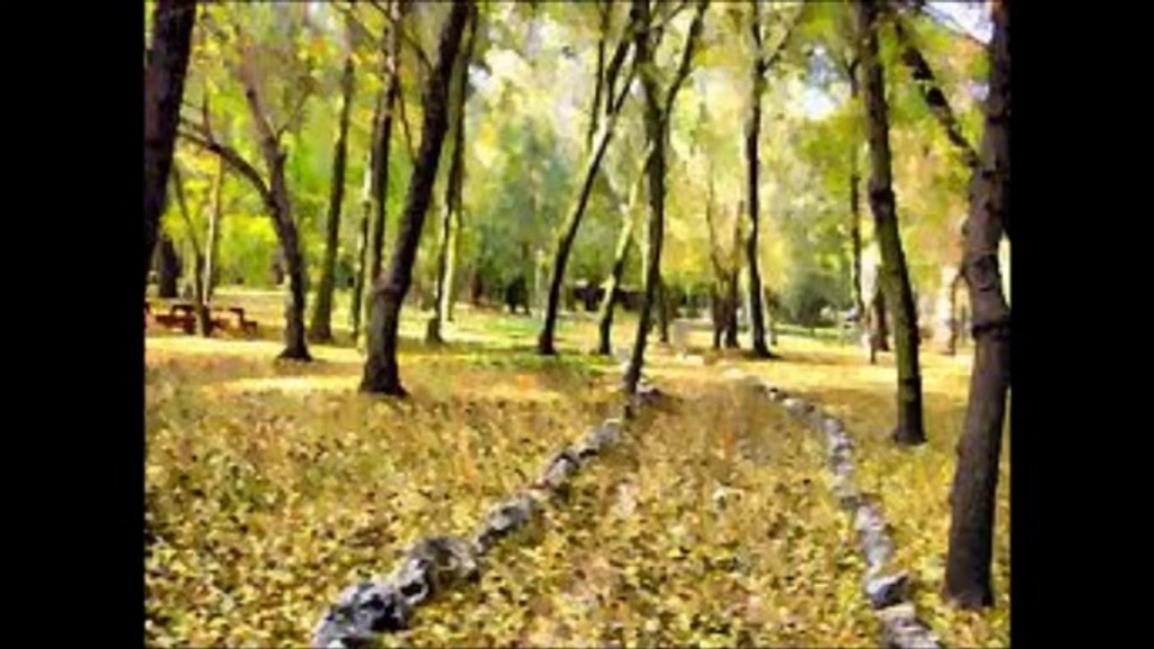 Risale-i Nur'dan- Üçüncü  Mesele- Asayı Musadan