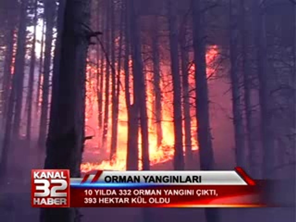 orman yangınları 03 03