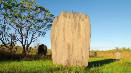 Time Lapse Tekniği İle Güneşin Doğuşu ve Doğanın Canlanışı