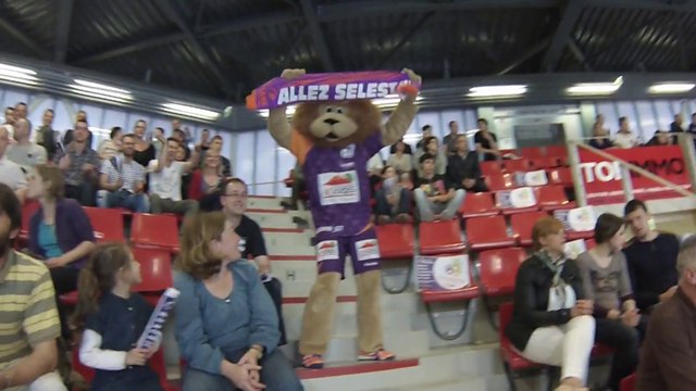 LNH EP 23 SAHB - Cesson-Rennes