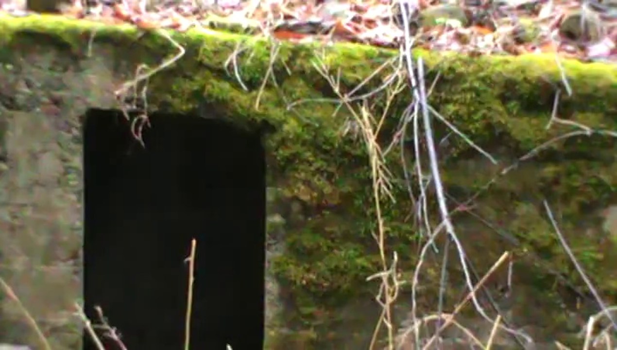 Woodward Cave