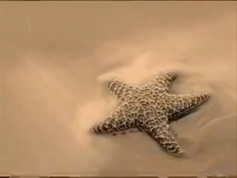 NAZENDE SEVGİLİM ^^Soydan^^