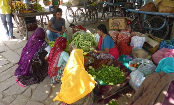 Voyage en INDE du Nord (Rajasthan, Agra, Delhi)