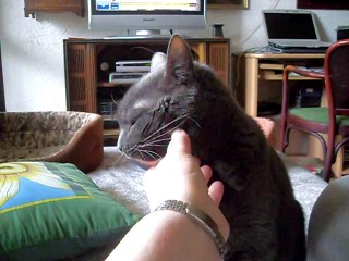 Extra takie drapanie