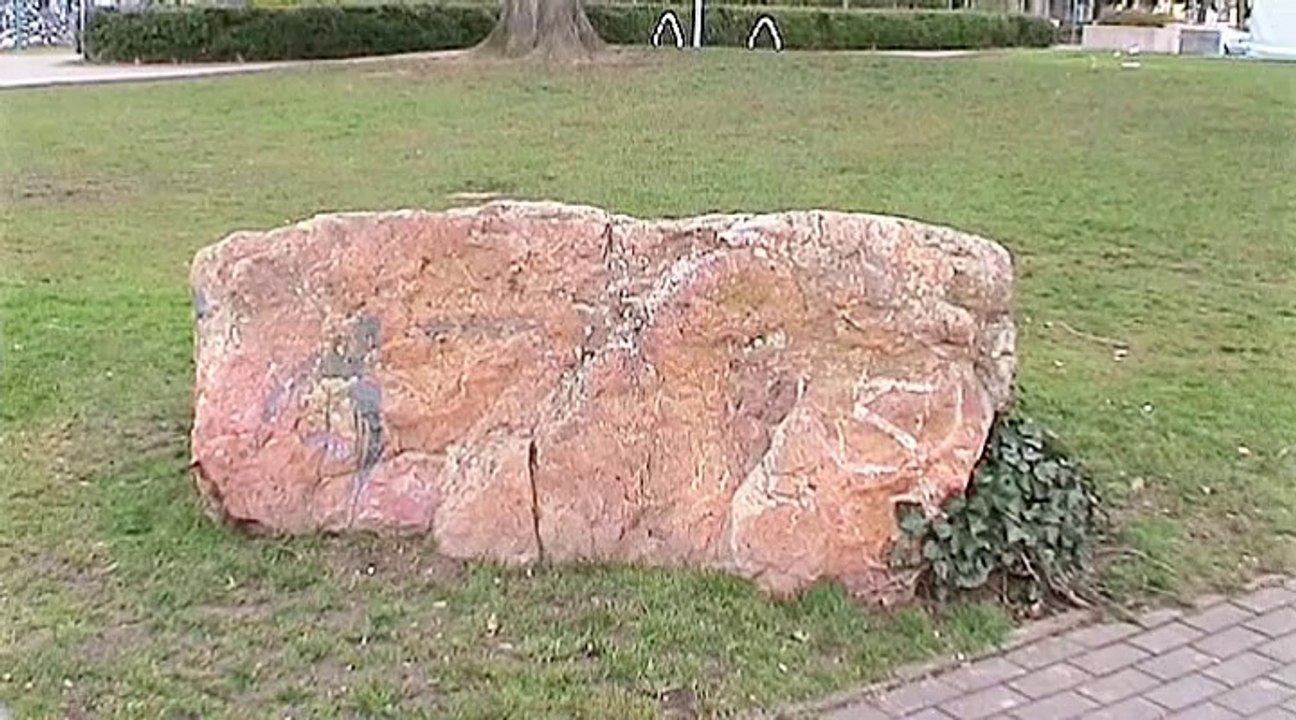 Auf großer Tour durch den VRS 2014-2