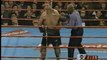 Mike Tyson vs Francois Botha 1999-01-16 full fight