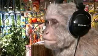 Радио как средство массовой информации