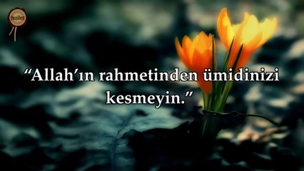 Zümer Suresi - Ebubekir Şatıri