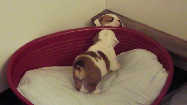 TU ME VOIS, TU ME VOIS PLUS