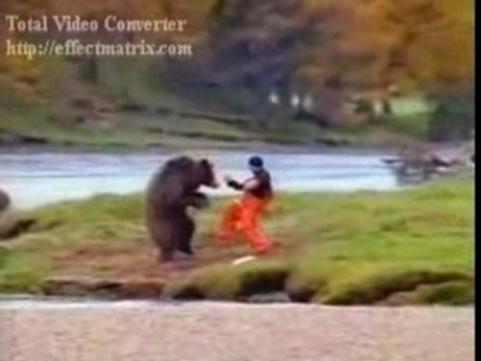 Bear Fight