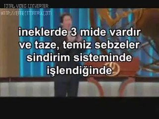 Domuz eti gerçeğini Hristiyanlar kabul etti.