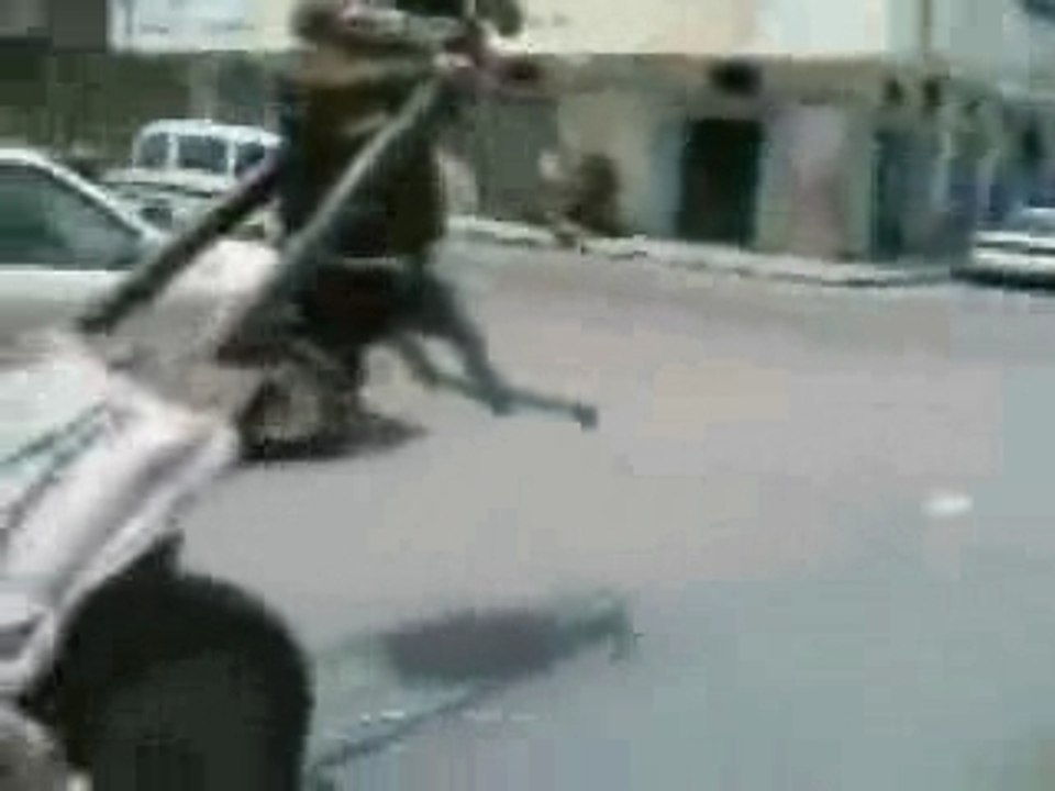 Donkey